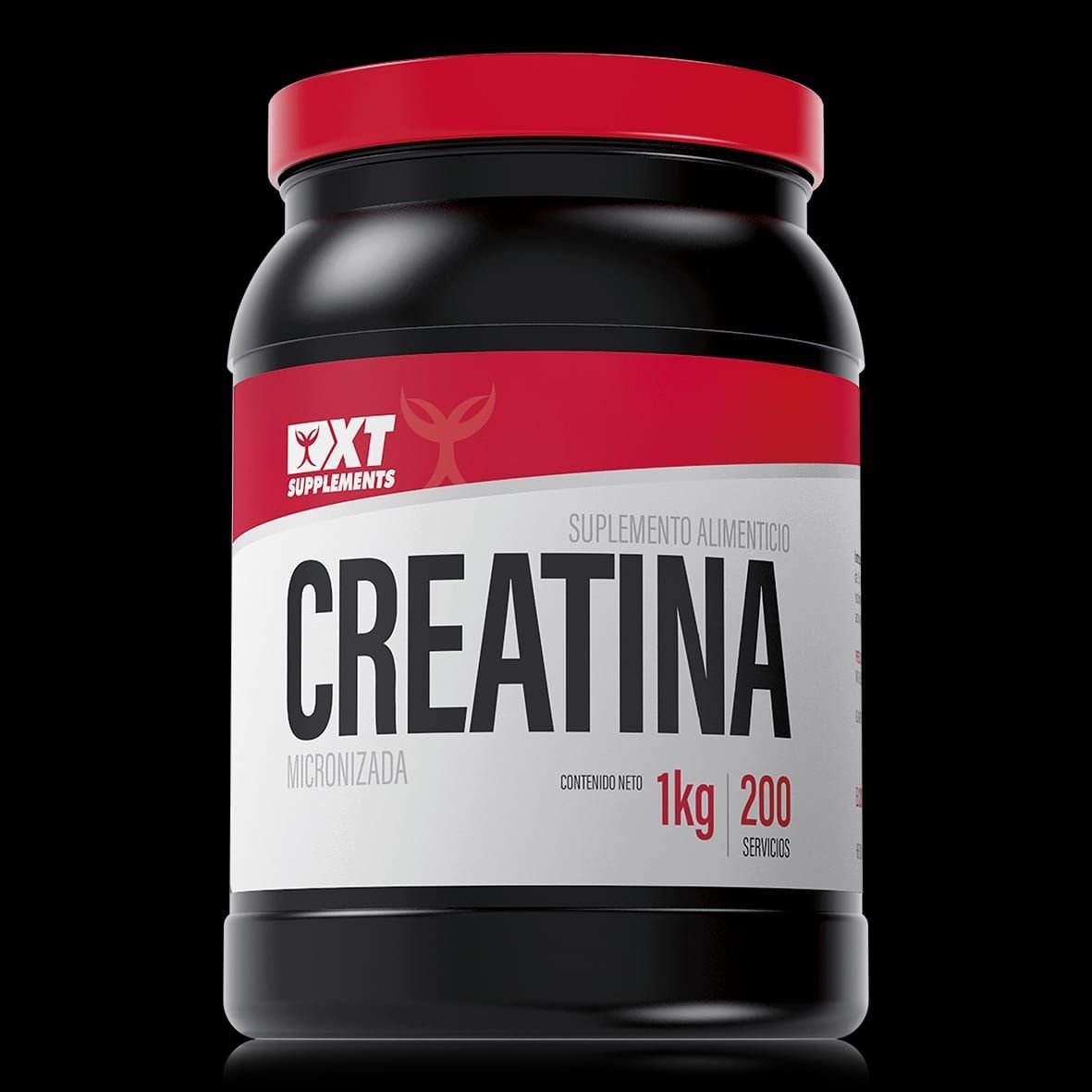 CREATINA 1kg - XT LABS 1 CREATINA 1kg - XT LABS 1