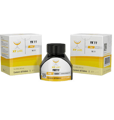 YK11 - XT LABS